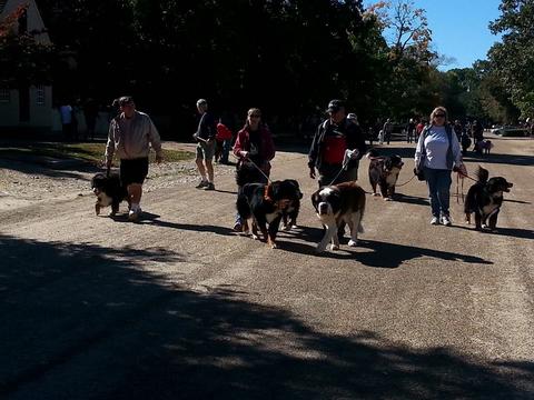 2014 HOWL-O-WEEN Walk Photo 1