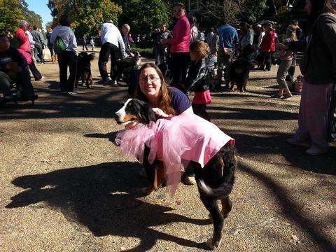 2014 HOWL-O-WEEN Walk Photo 2