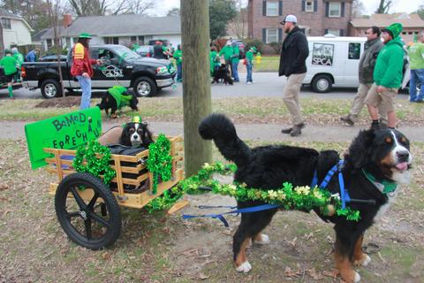 2016 St Patricks Day Parade