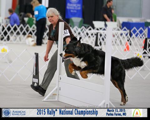 2015 AKC National Rally Championship