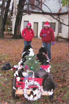 2013 Christmas Parade in Williamsburg, Virginia