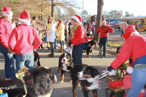 2015 Christmas Parade in Williamsburg, Virginia