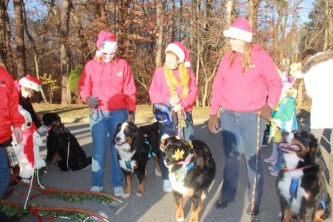 2015 Christmas Parade in Williamsburg, Virginia