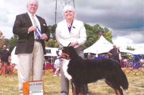 2013 Chesapeake Dog Fanciers Association Dog Show