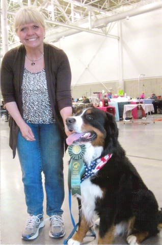 2014 Bernese Mountain Dog Club of America Dog Show Rally Advanced Title