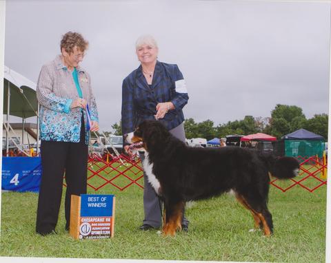 2014 Chesapeake Dog Fanciers Association Dog Show