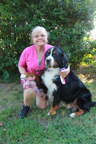 2015 Chesapeake Dog Fanciers Dog Show: First Place: Winners Dog