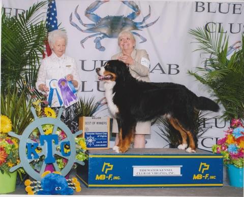 2015 Tidewater Kennel Club Dog Show:  Best of Winners