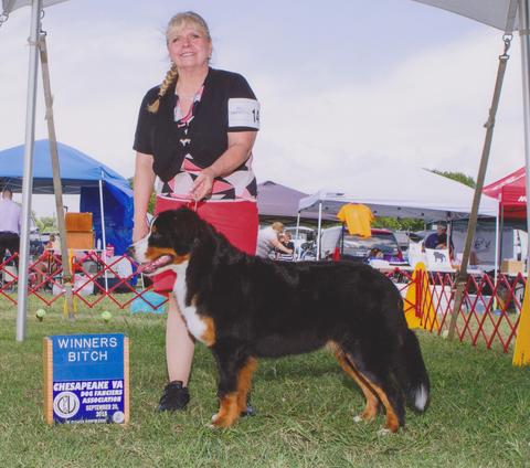 2015 Chesapeake Dog Fanciers Dog Show: First Place: Winners