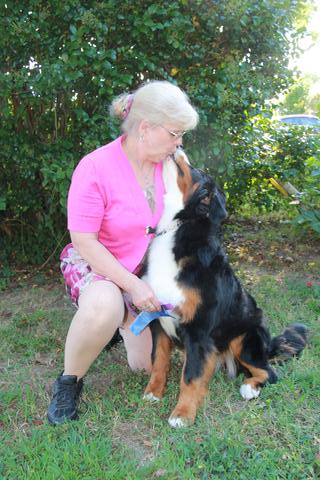 2015 Chesapeake Dog Fanciers Dog Show: First Place: Winners