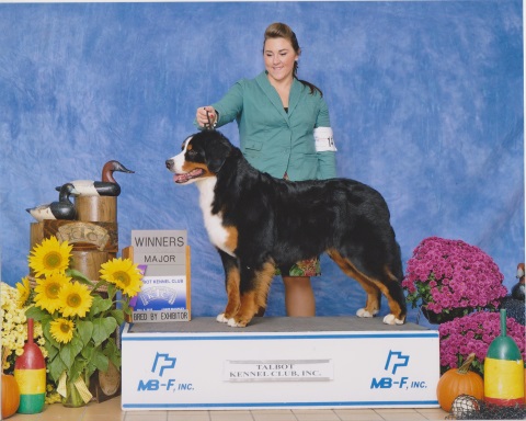 2015 Talbot Kennel Club Dog Show:  Winners Major