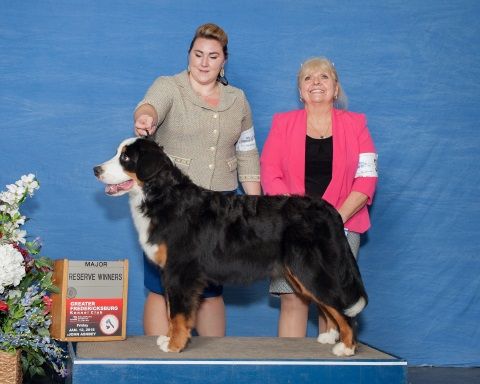 2018 Greater Fredericksburg Kennel Club Dog Show Reserve Winners for Martini