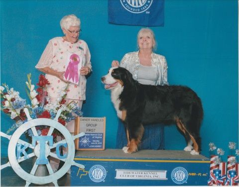 2018 Tidewater Kennel Club Dog Show First Place Owner Handler Group for Martini